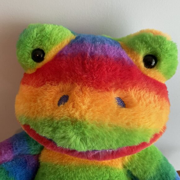 Build-A-Bear Rainbow Frog Plush - Picture 6 of 11